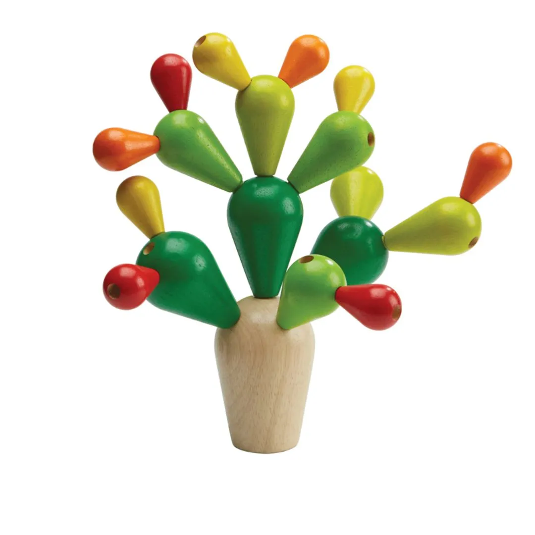 Balancing Cactusㅤ