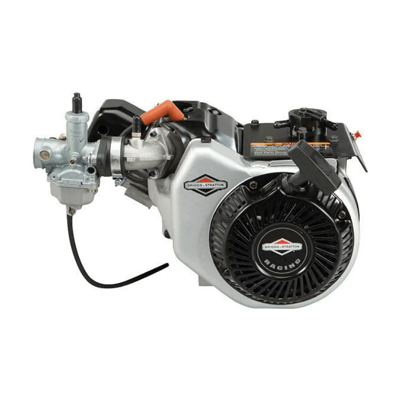 Briggs & Stratton World Formula Engine (Race Ready)