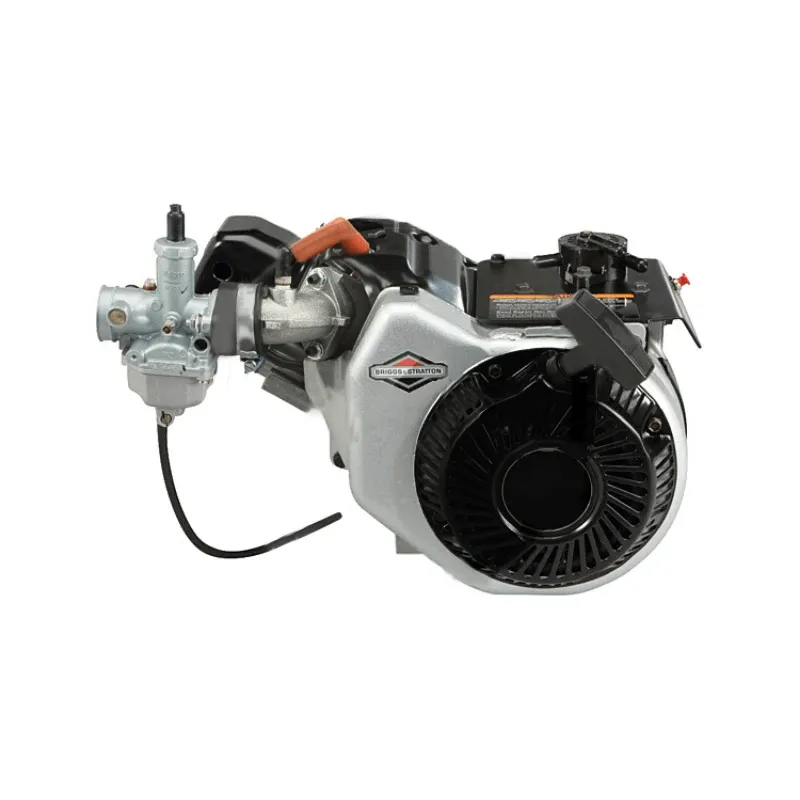 Briggs & Stratton World Formula Engine (Race Ready)