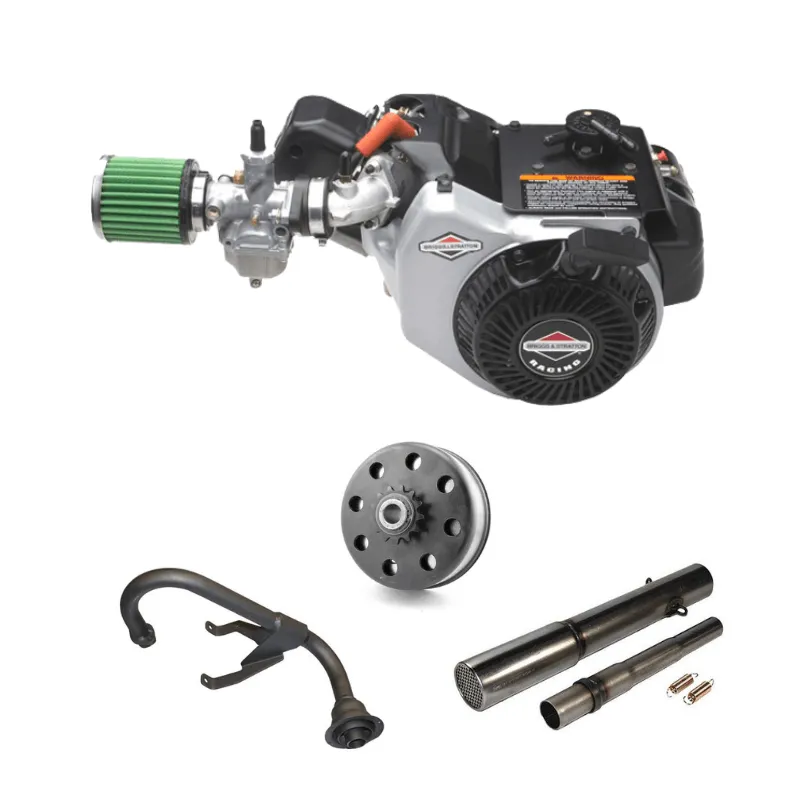 Briggs & Stratton World Formula Engine (Race Ready)