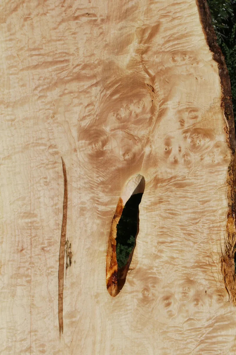 Maple Live Edge Lumber (Freight Shipping Required)
