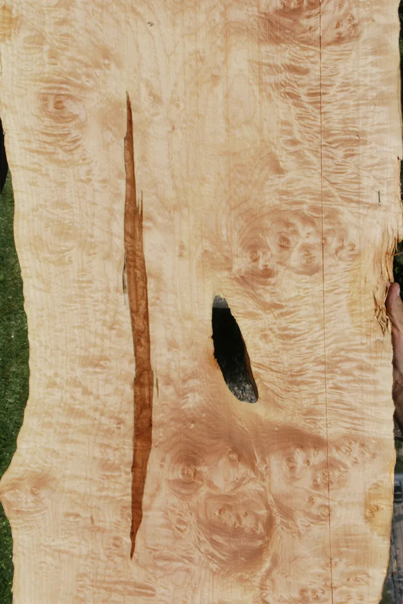 Maple Live Edge Lumber (Freight Shipping Required)