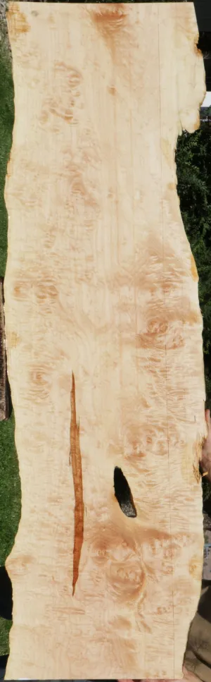 Maple Live Edge Lumber (Freight Shipping Required)