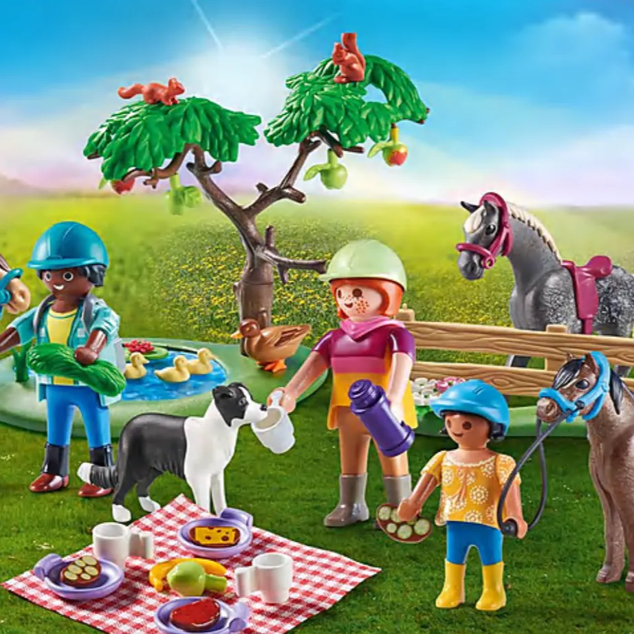 Picnic Adventure With Horses