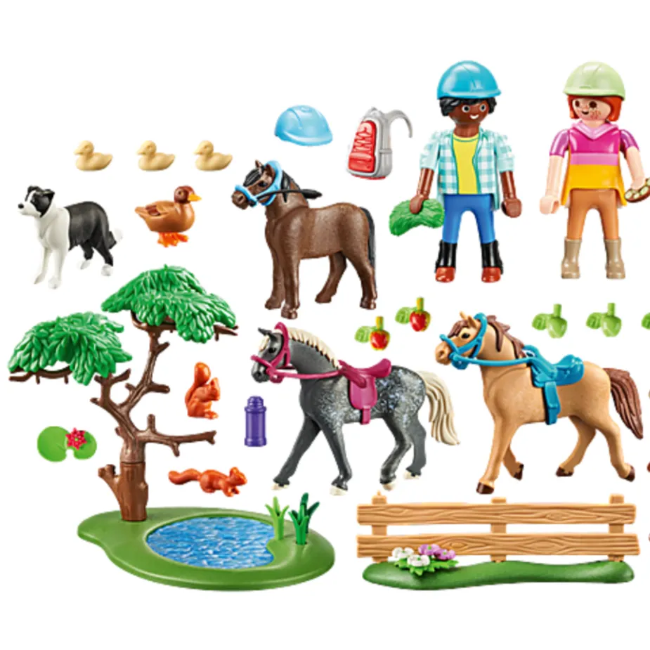 Picnic Adventure With Horses