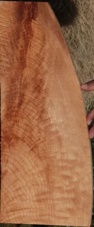Quilted Fiddleback Crotchwood Maple Instrument Lumber
